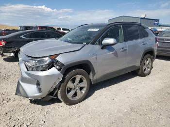  Salvage Toyota RAV4