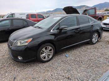  Salvage Lexus Hs