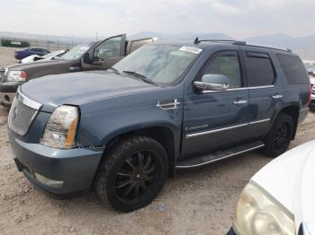  Salvage Cadillac Escalade