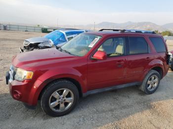  Salvage Ford Escape