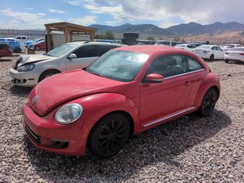  Salvage Volkswagen Beetle