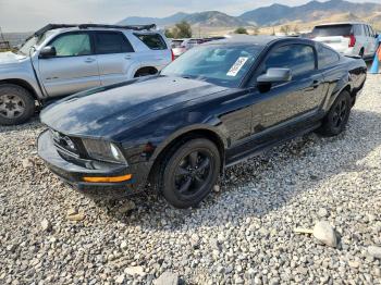  Salvage Ford Mustang