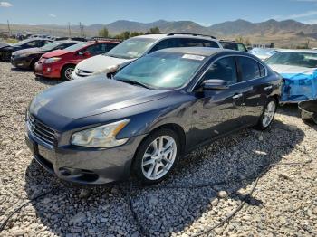  Salvage Nissan Maxima