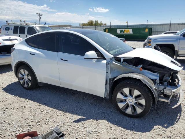 Tesla Model Y Image 5