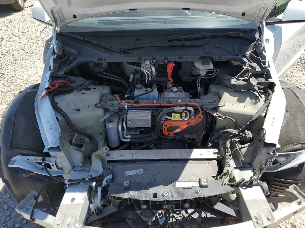 Tesla Model Y Image 13