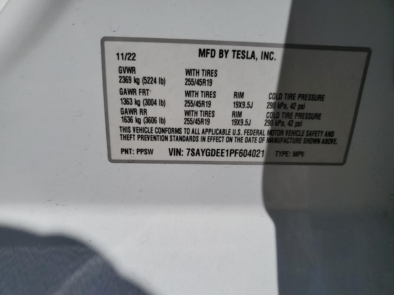 Tesla Model Y Image 12