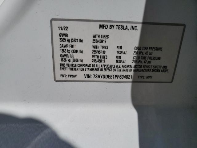 Tesla Model Y Image 12