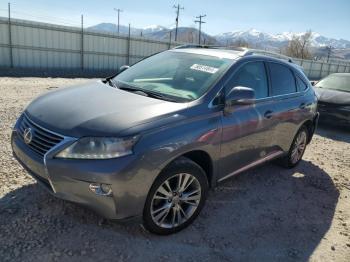  Salvage Lexus RX
