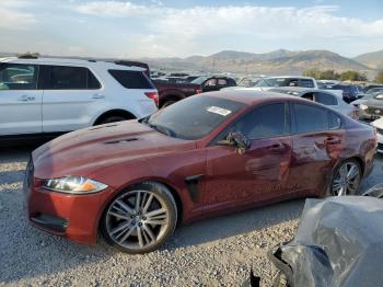  Salvage Jaguar XF