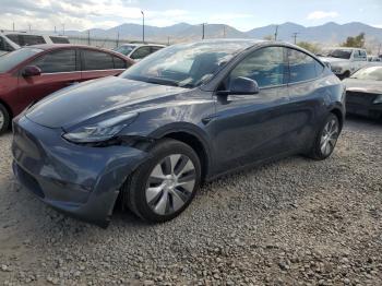  Salvage Tesla Model Y