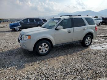  Salvage Ford Escape