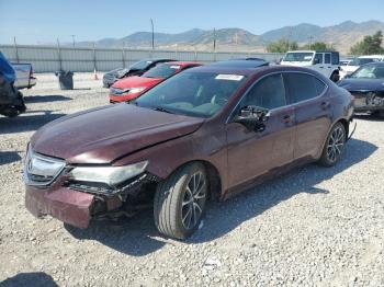  Salvage Acura TLX