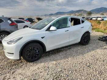  Salvage Tesla Model Y