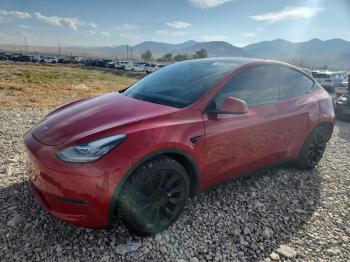  Salvage Tesla Model Y