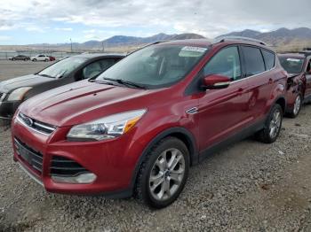  Salvage Ford Escape