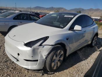  Salvage Tesla Model Y
