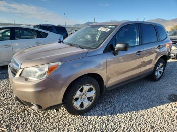  Salvage Subaru Forester
