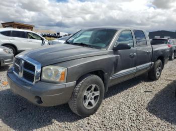  Salvage Dodge Dakota