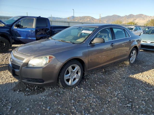  Salvage Chev Malibu