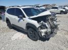 Subaru Forester Wilderness Image 12