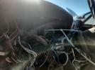 FIAT Spider Image 6