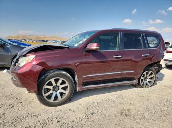  Salvage Lexus Gx