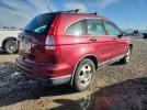 Honda Crv Lx Image 10