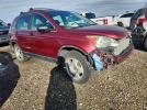 Honda Crv Lx Image 13