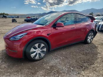  Salvage Tesla Model Y