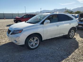  Salvage Lexus RX