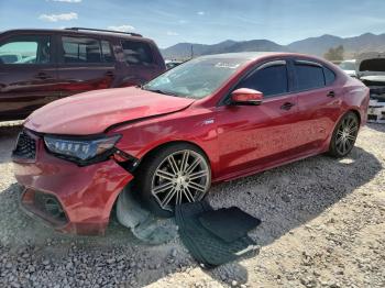  Salvage Acura TLX