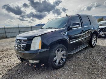  Salvage Cadillac Escalade