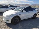 Tesla Model Y Image 1