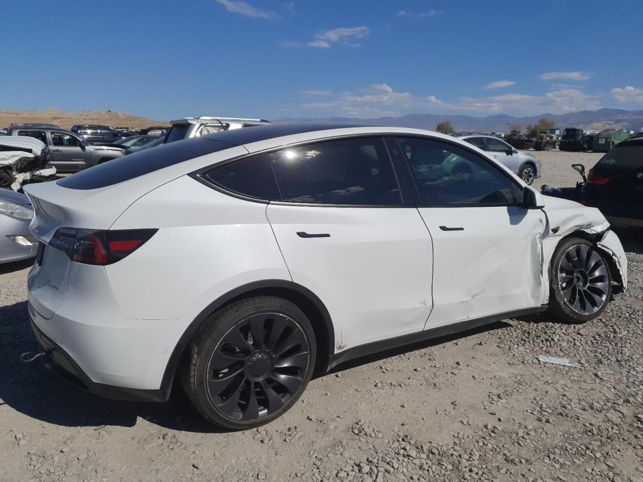 Tesla Model Y Image 3