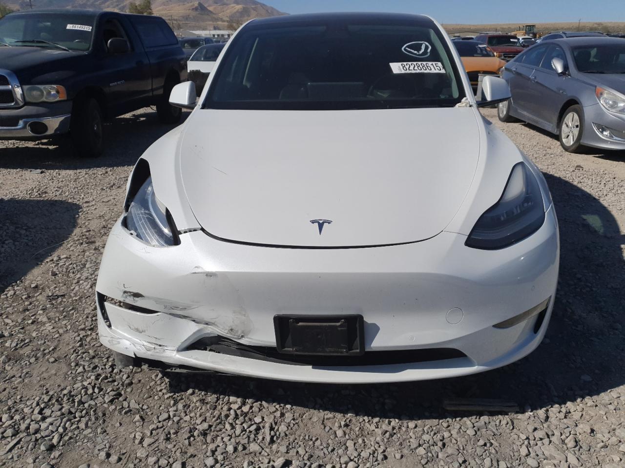Tesla Model Y Image 2