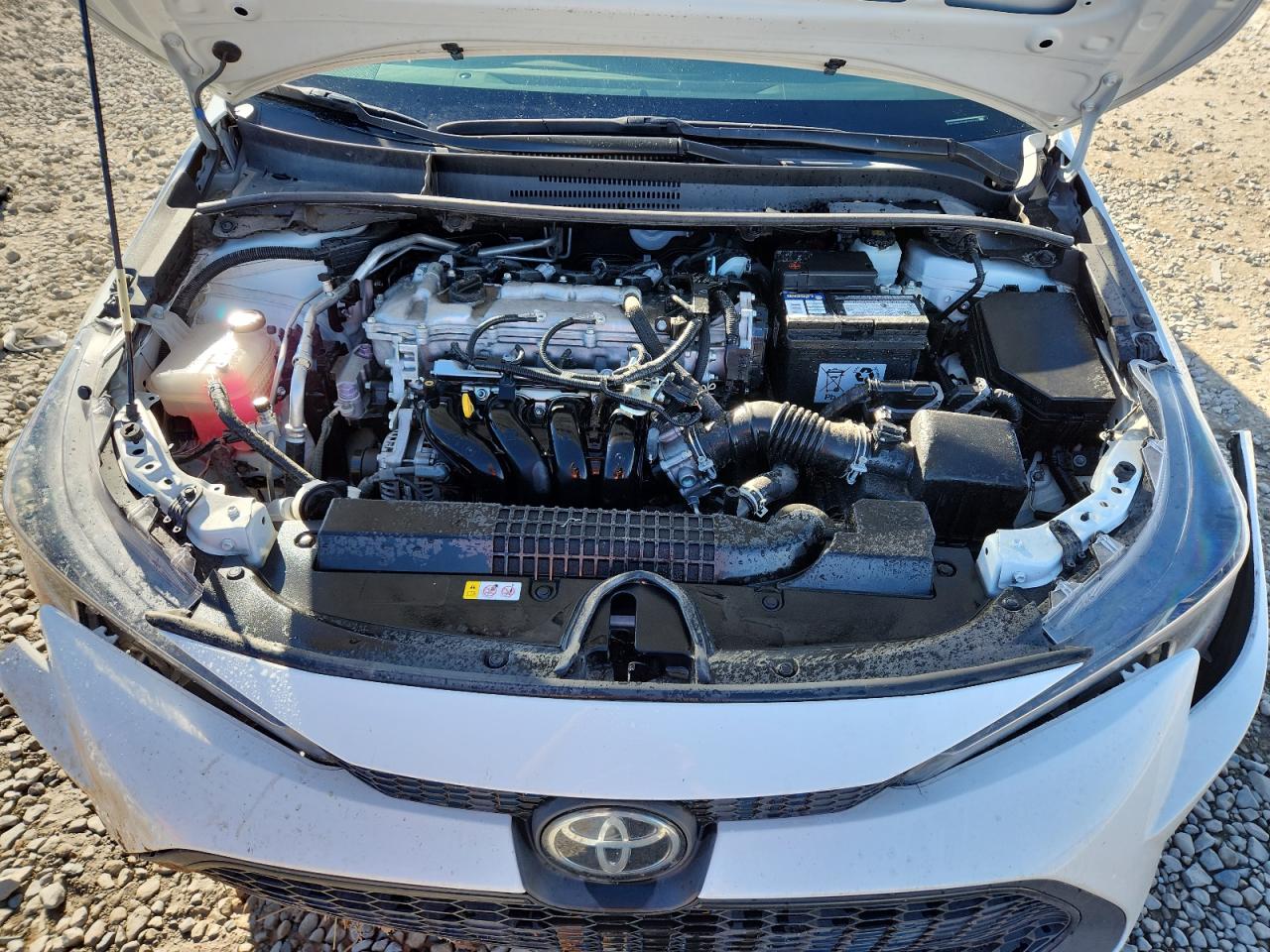 Toyota Corolla Le Image 12