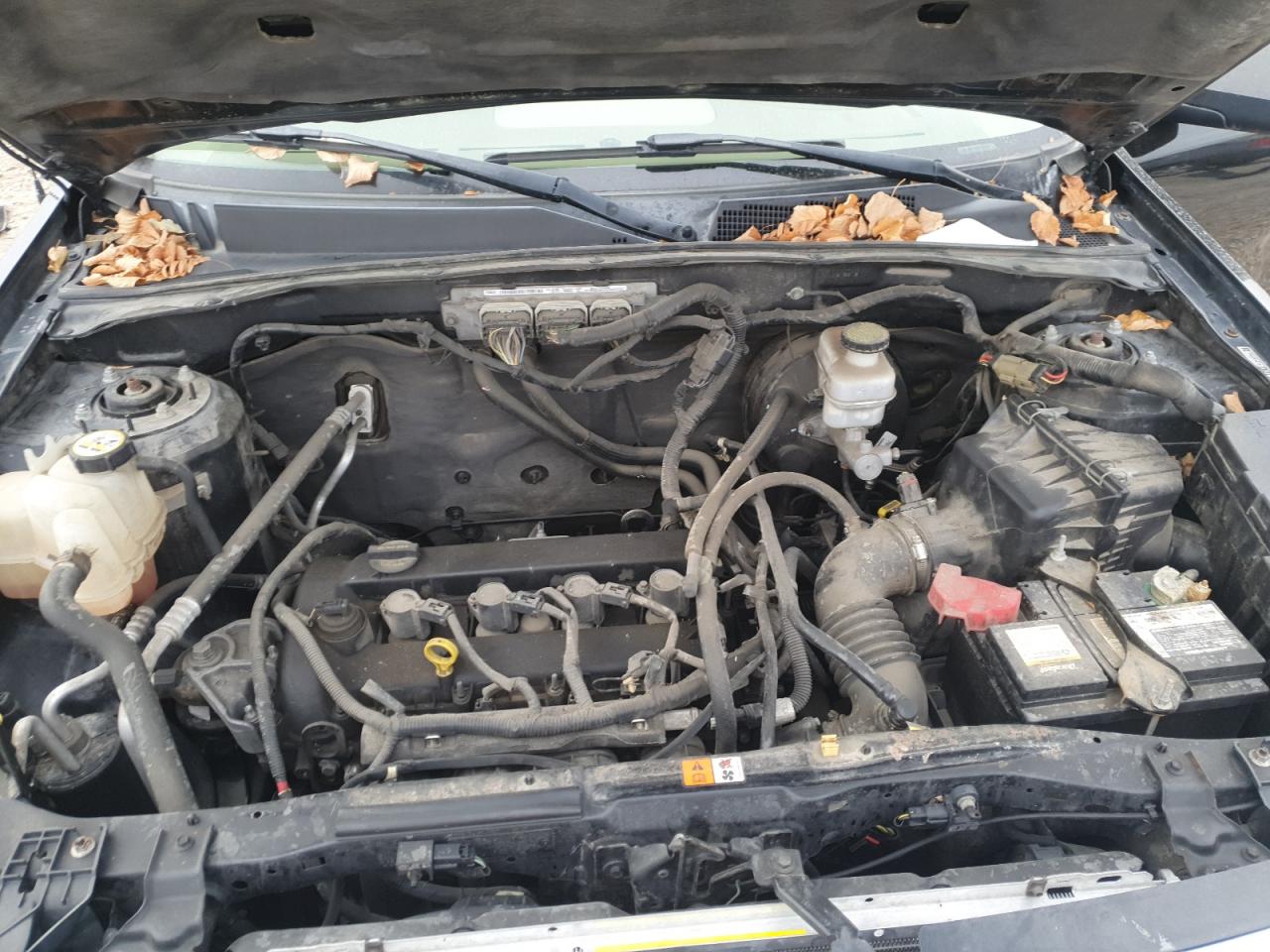 Ford Escape Xlt Image 4