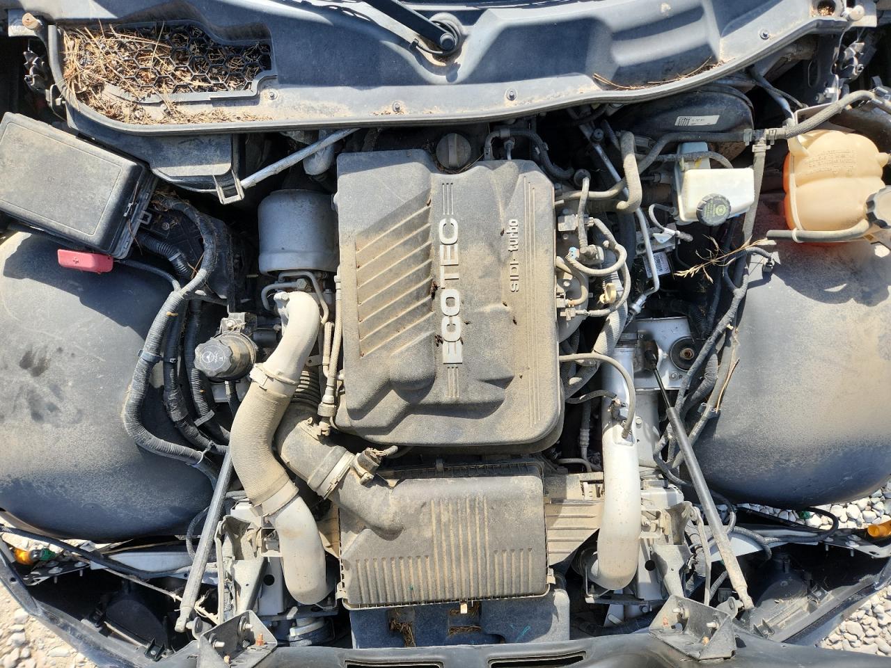 Saturn SKY Redline Image 6