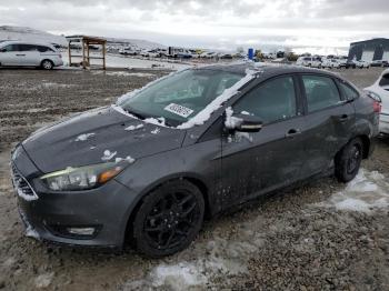  Salvage Ford Focus