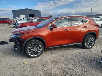  Salvage Lexus NX