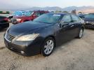Lexus Es 350 Image 1