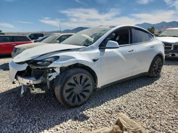  Salvage Tesla Model Y