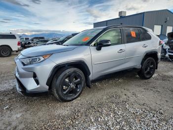  Salvage Toyota RAV4