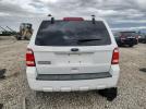 Ford Escape Xls Image 4