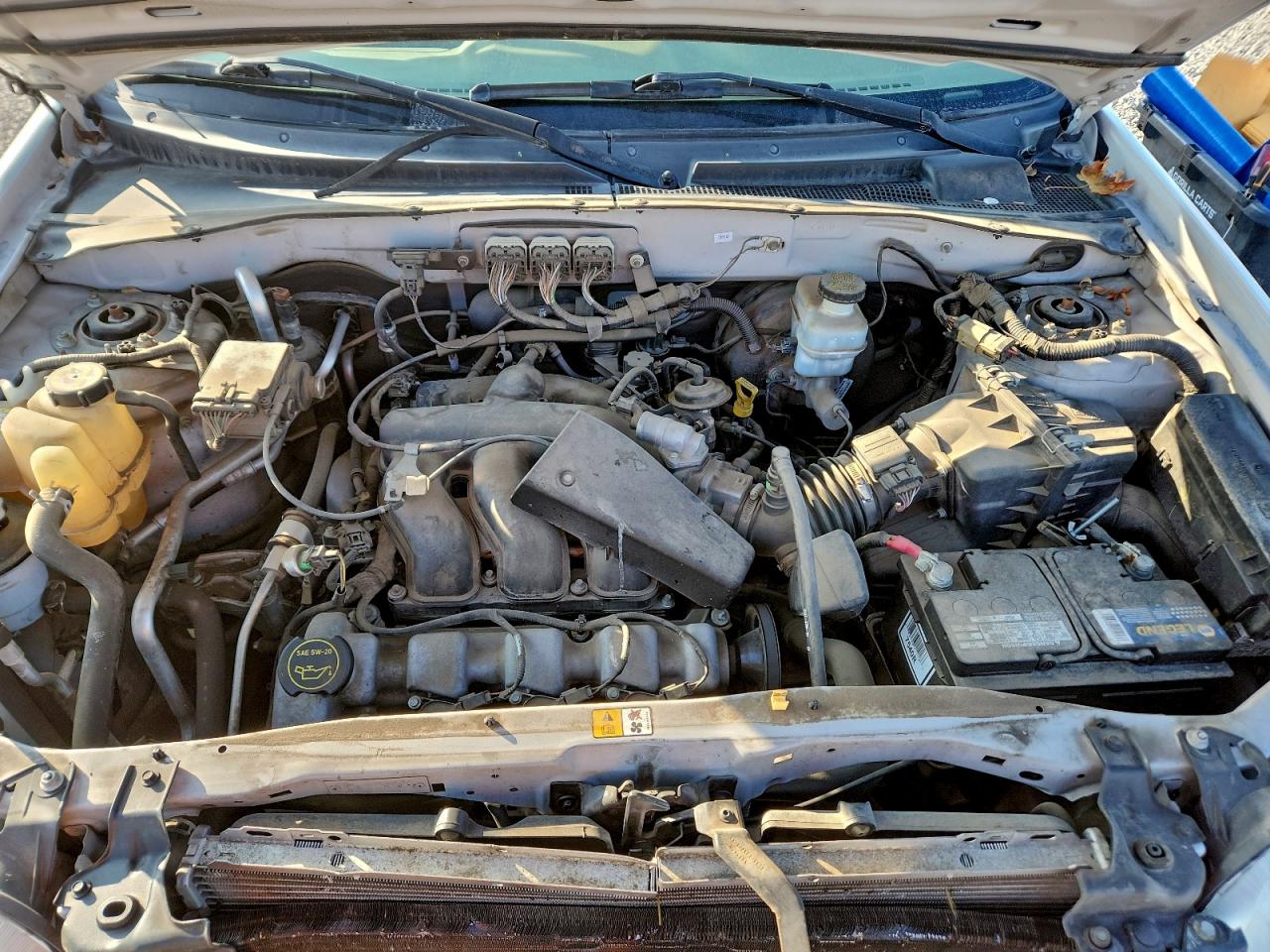 Ford Escape Xlt Image 6