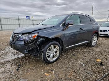  Salvage Lexus RX