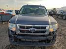 Ford Escape Xlt Image 4
