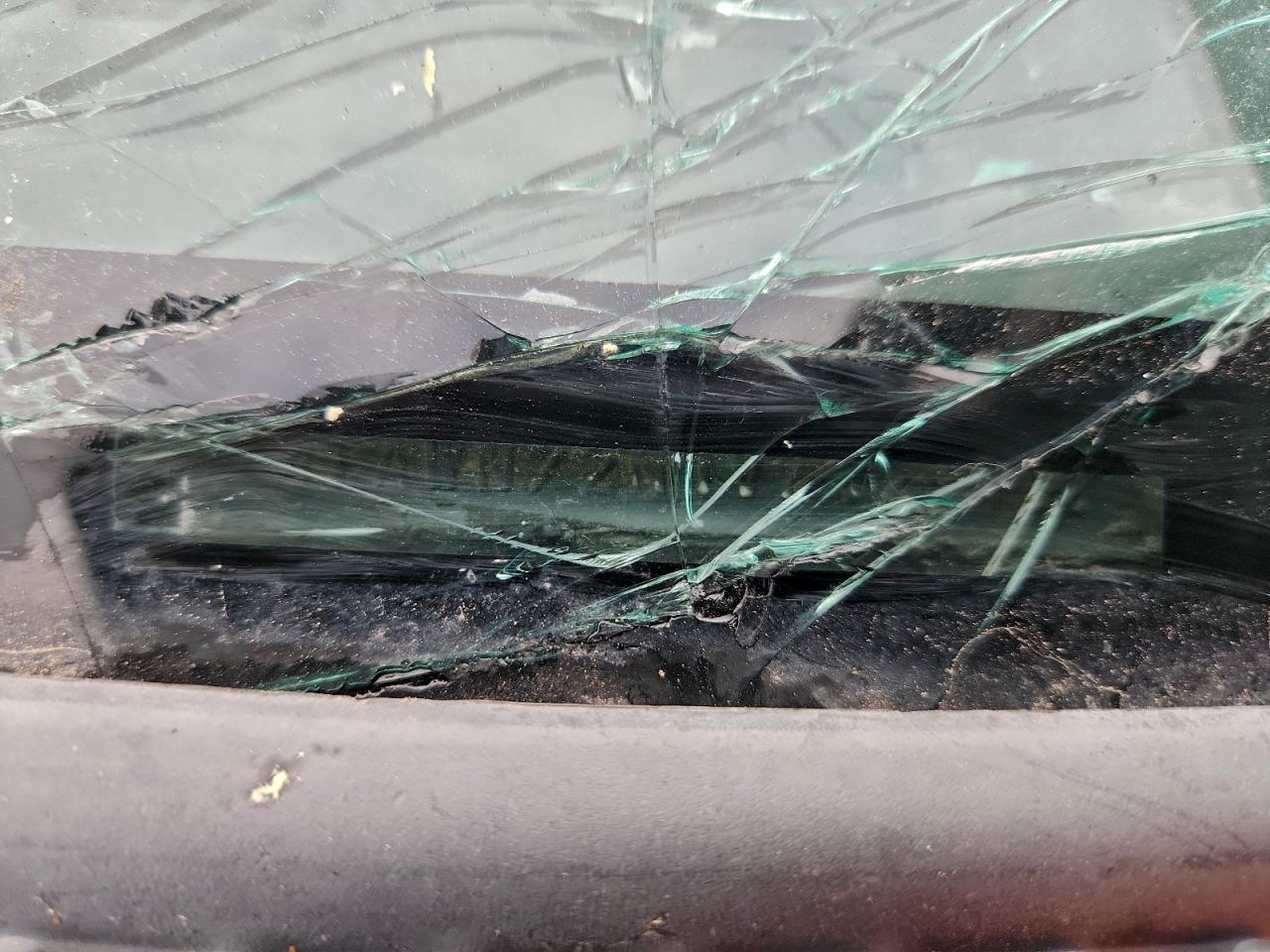 Toyota Tacoma Xtracab Image 11