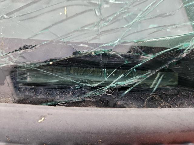 Toyota Tacoma Xtracab Image 11