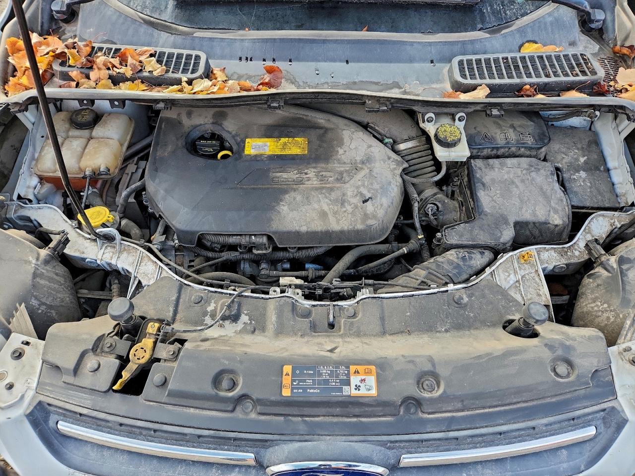 Ford Escape Se Image 11